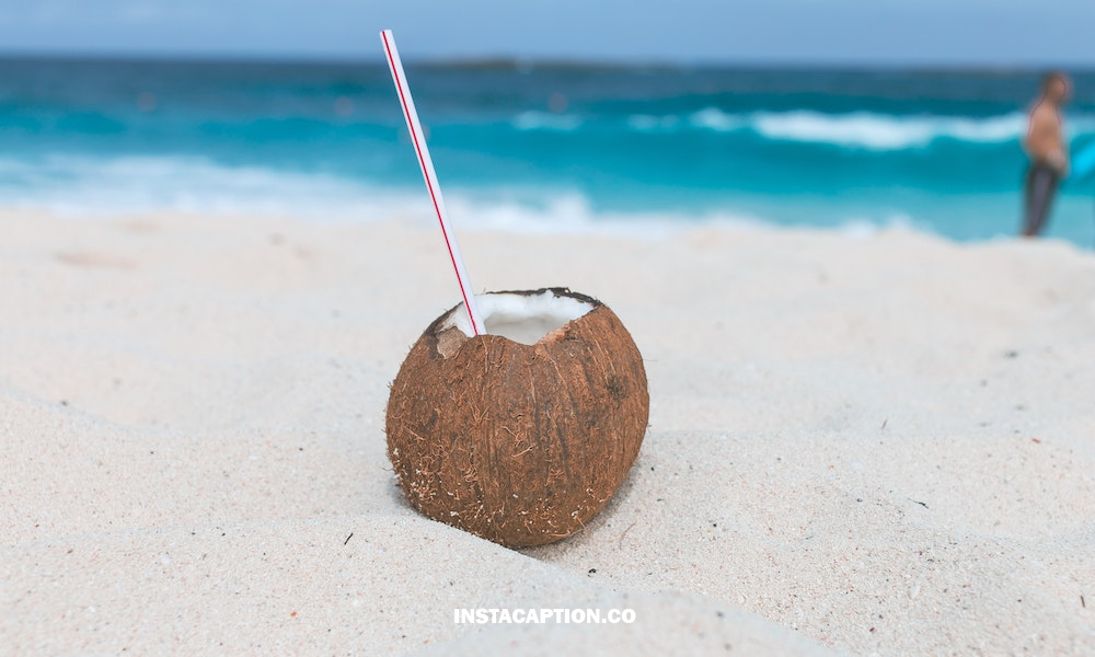 Coconut Captions For Instagram & Quotes