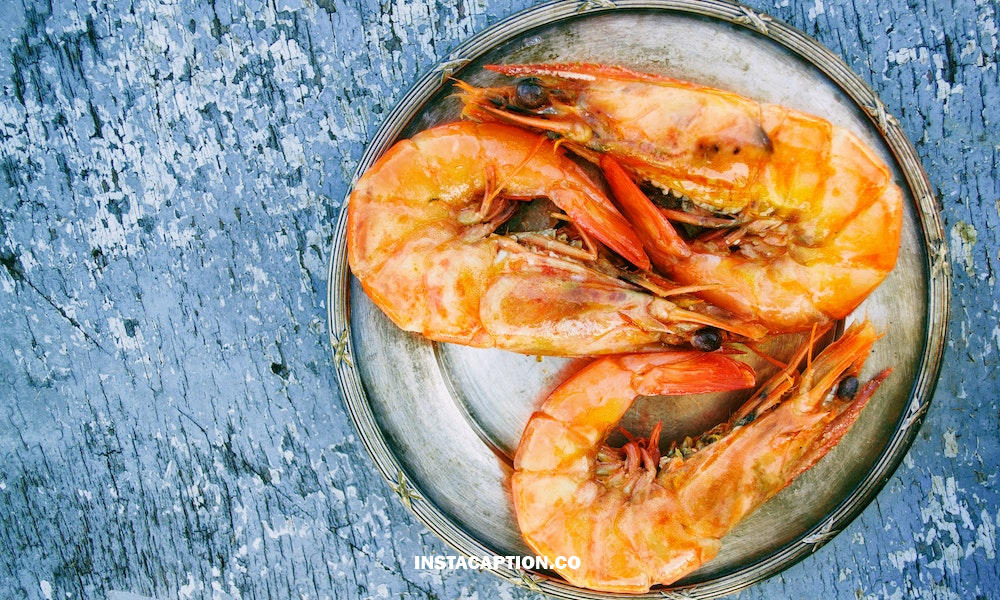 Seafood Captions For Instagram