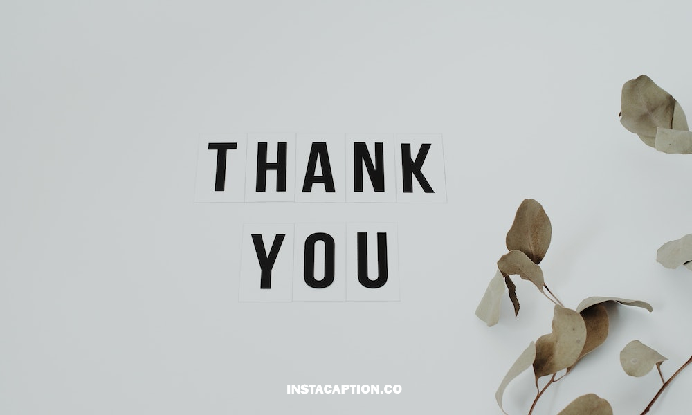 170+ Thank You For 1k Followers Instagram Captions