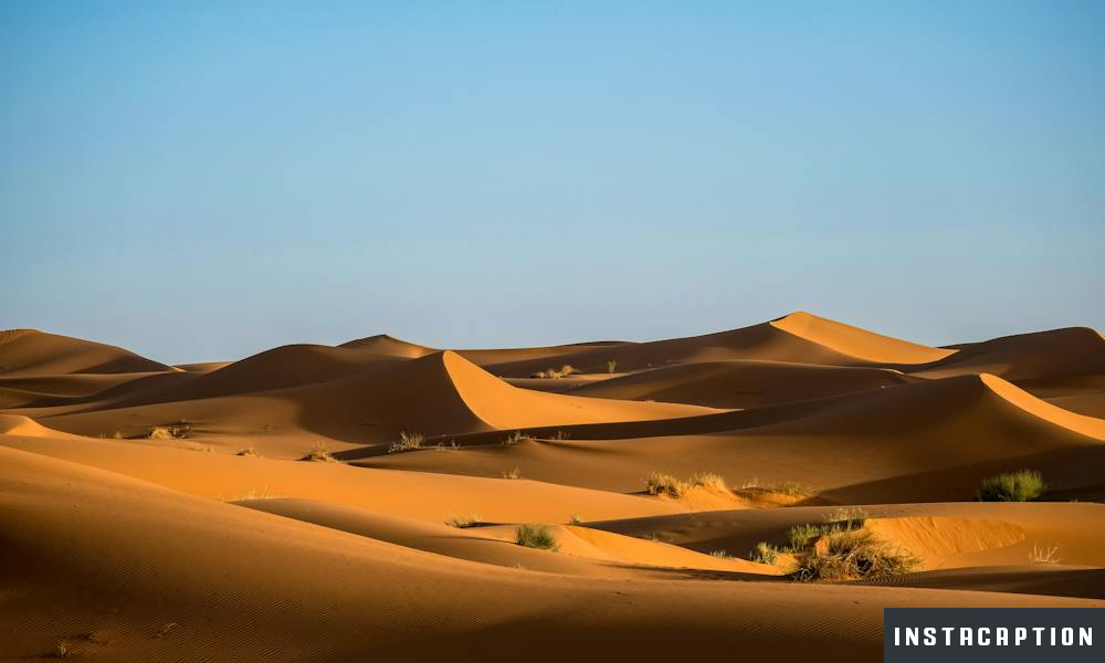Desert Captions For Instagram