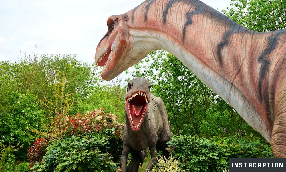 Dinosaur Captions For Instagram