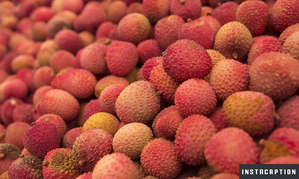 Lychee Captions For Instagram