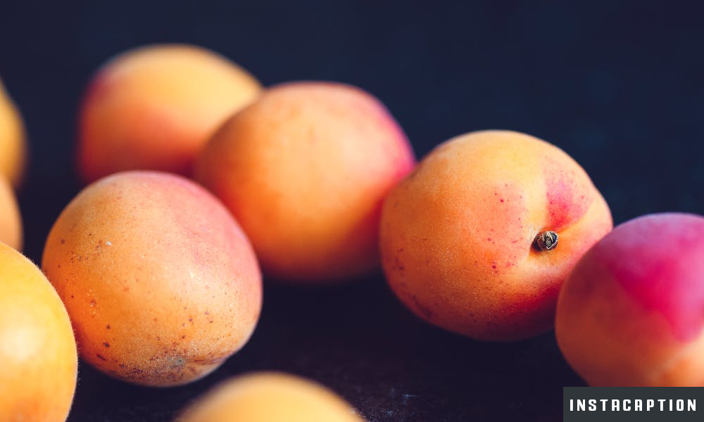Peach Captions For Instagram