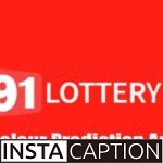 91 Lottery Login